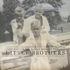 littlebrotherscover